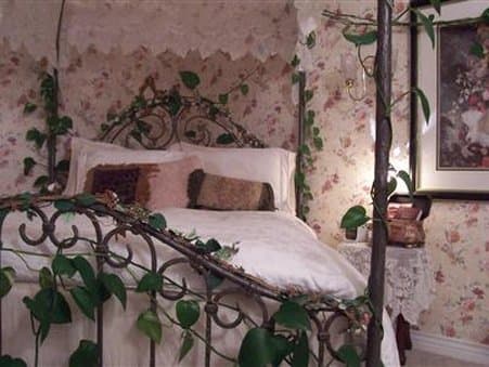Wild Rose Manor Bed And Breakfast