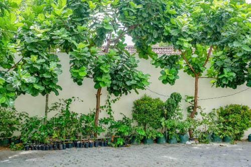 Hotel Nagari