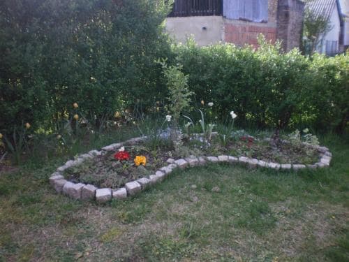 Bed & Breakfast Cingi Lingi