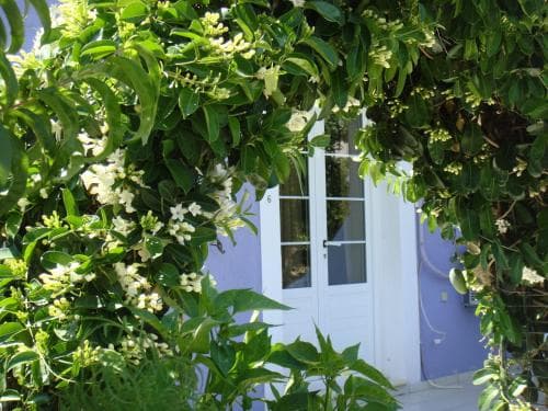 Villa Eliza