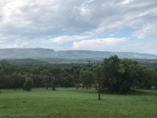 Olive Tree Farm