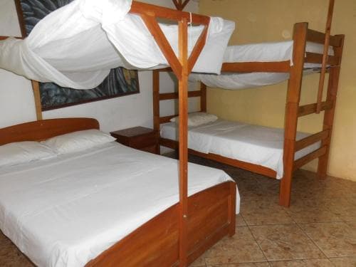 Tambopata Hostel
