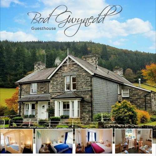 Bod Gwynedd B&B