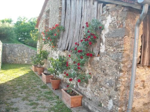 B&B Casale Dorando