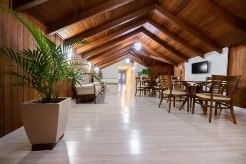 A cozy indoor lounge with wooden ceilings, comfortable seating, and lush greenery creates a warm and inviting atmosphere ideal for travelers seeking relaxation in a rustic retreat.