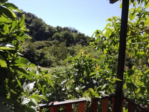 La Guayaba Monteverde