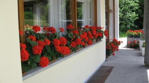 Hotel Dante