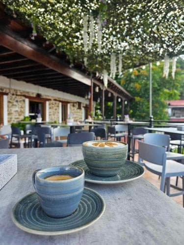 A serene outdoor café scene features a cozy table set with ceramic coffee cups under a lush green canopy, ideal for travelers seeking a tranquil spot to relax and enjoy a leisurely drink.