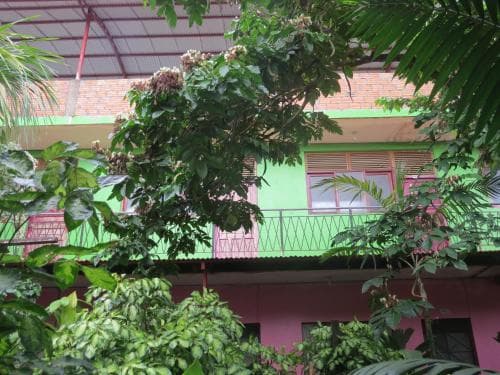 Tambopata Hostel Bambu