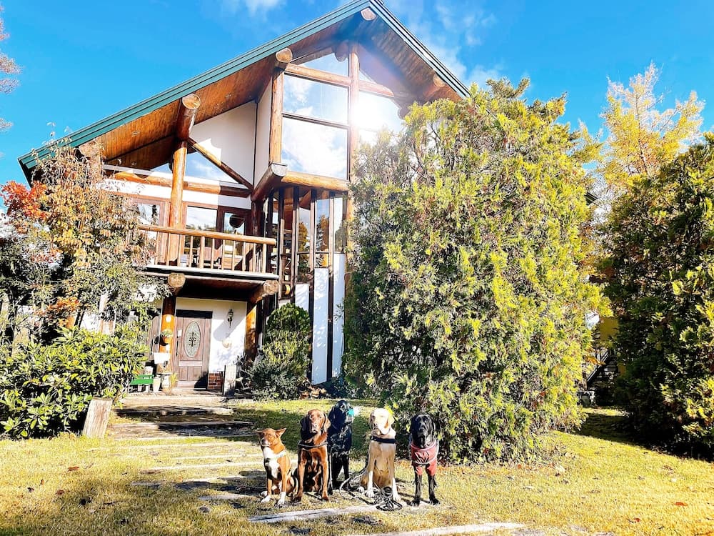 Hakuba Pension & Log Hotel Meteor