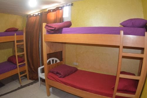 New Palm Hostel