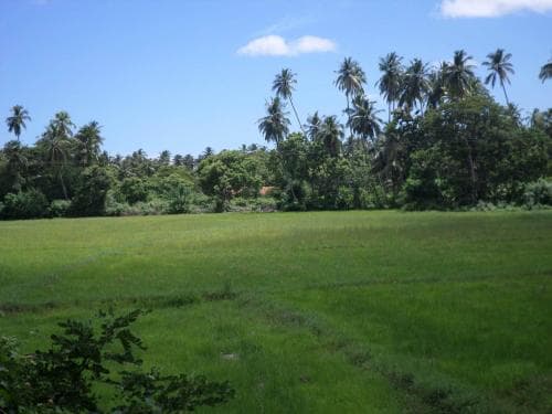 Sandadiya Resort