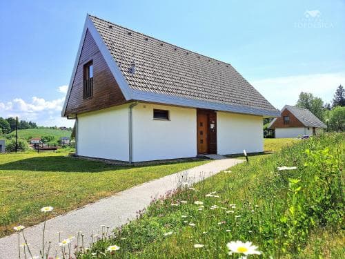 Apartment HORTENZIJA near Terme Topolšica