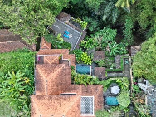 Rumah Kelinci