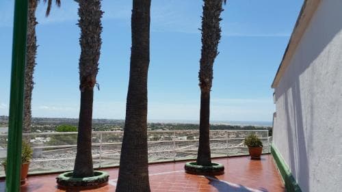 Vista Oasis