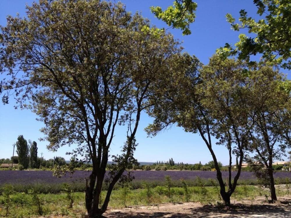 Lodges En Provence & Spa