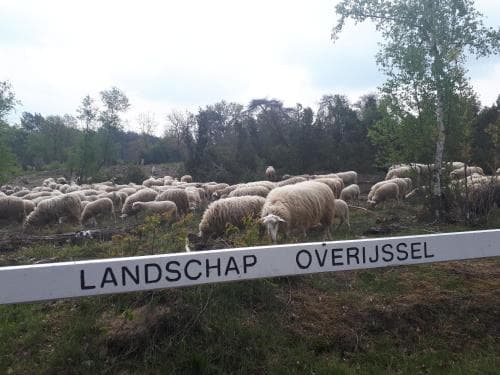 De Hammerhoeve