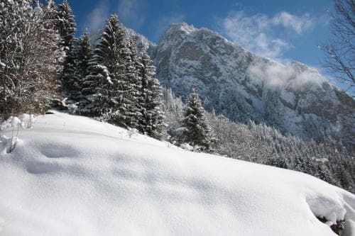 A serene winter landscape features snow-covered evergreen trees and majestic mountains under a partly cloudy sky, ideal for skiing or snowshoeing enthusiasts seeking a peaceful retreat.