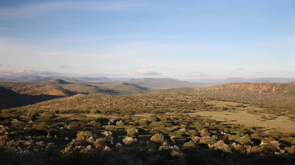 Olarro Plains