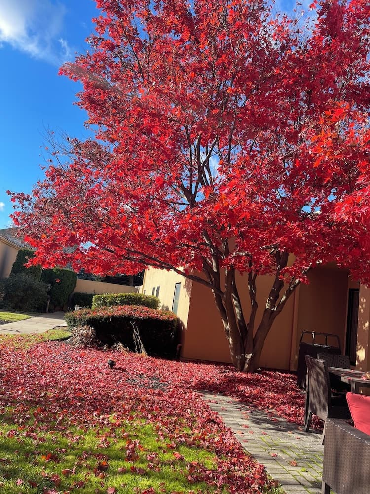 Courtyard by Marriott Fishkill