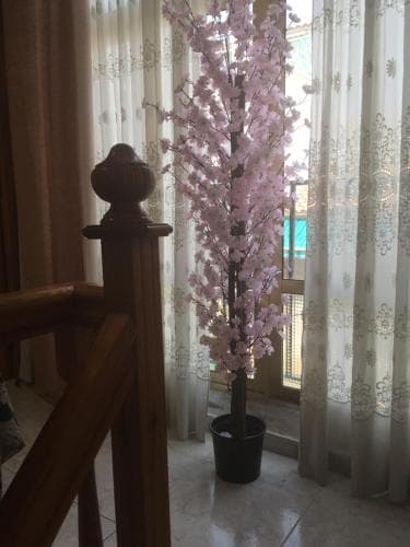 Casa Phoenix Bed & Breakfast