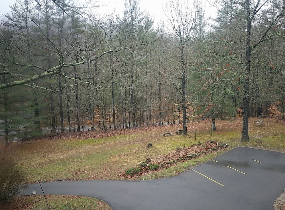 Lil Black Bear Inn