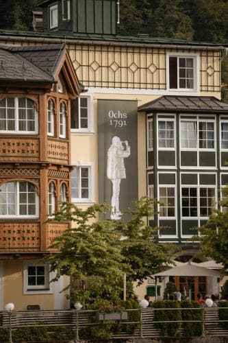 Goldener Ochs