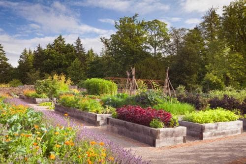 Rudding Park