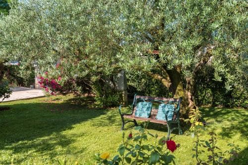 Rooms Carmela