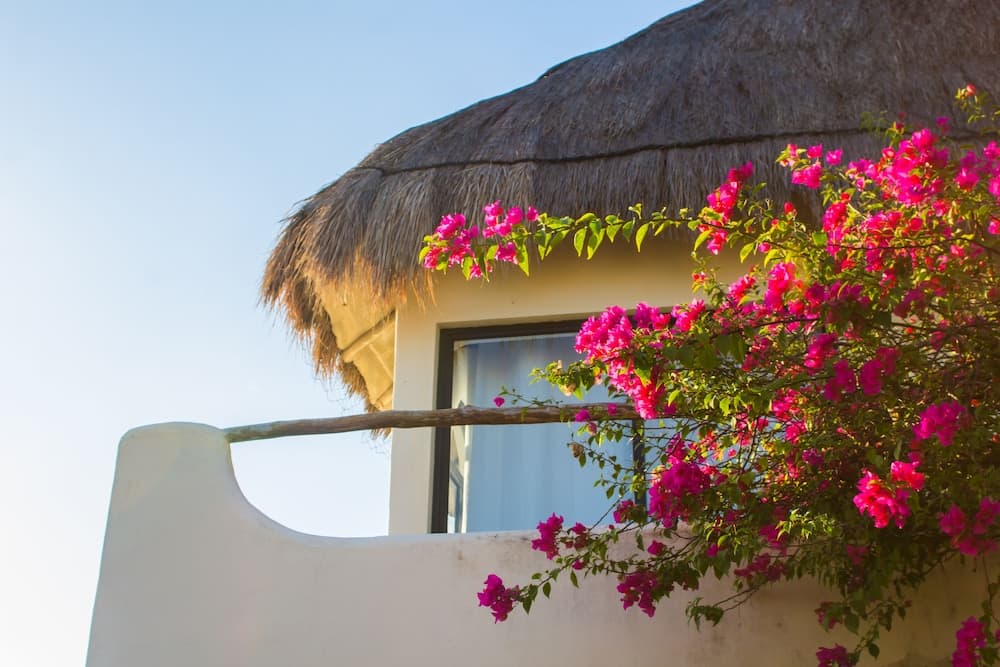 A serene tropical villa with a thatched roof and vibrant pink bougainvillea flowers offers a picturesque backdrop for a relaxing vacation getaway.