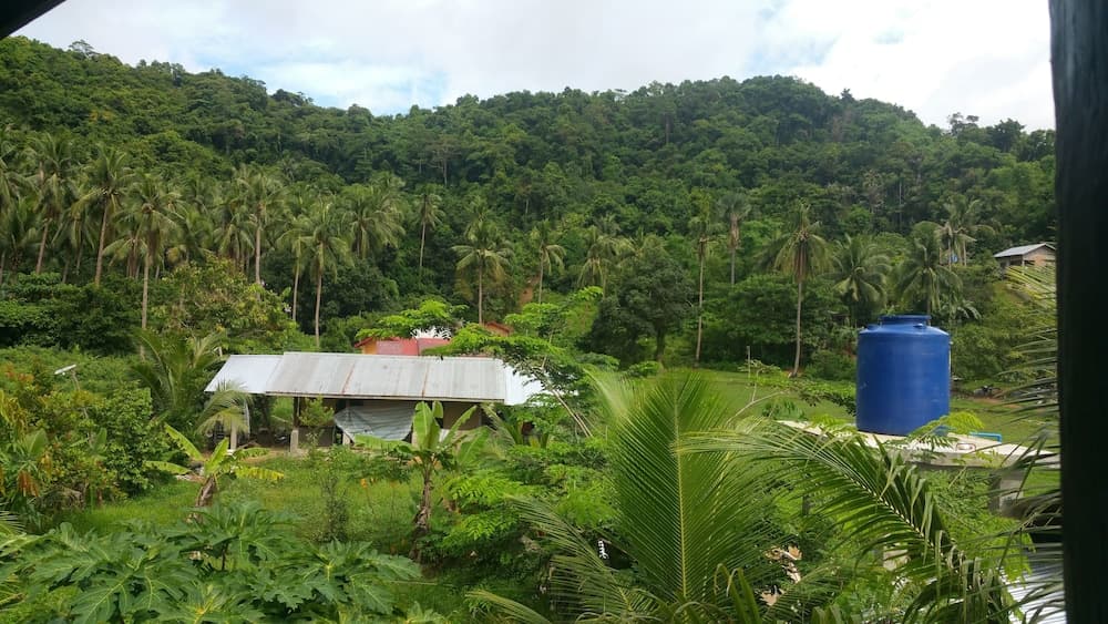 El Nido Dragonfly