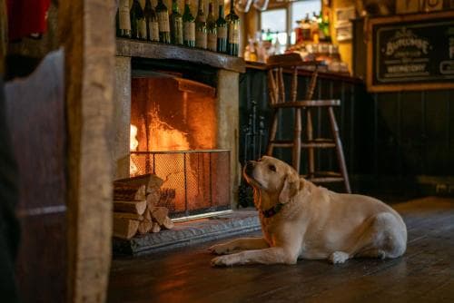 The Anchor Inn