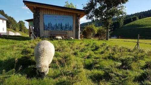 Ferienwohnungen am Schneeberg