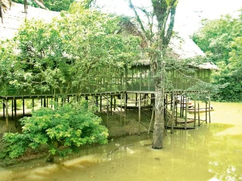 Explorama Lodge