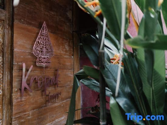 Kropak Canggu