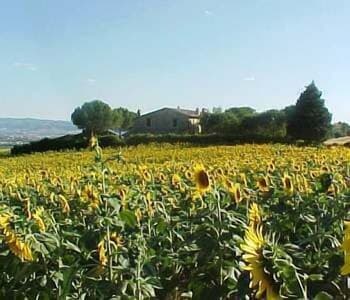 Casalfarneto