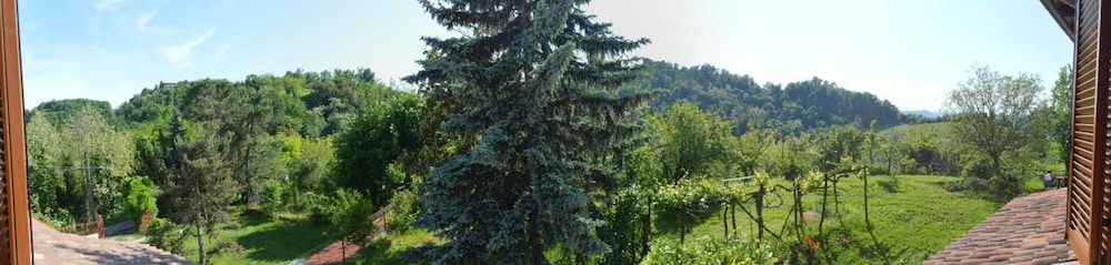 Il Dovese B&B