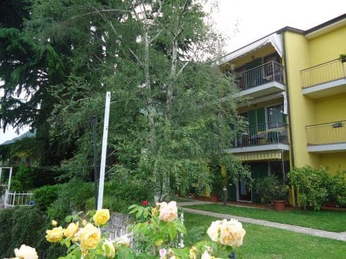 Residence Il Cedro