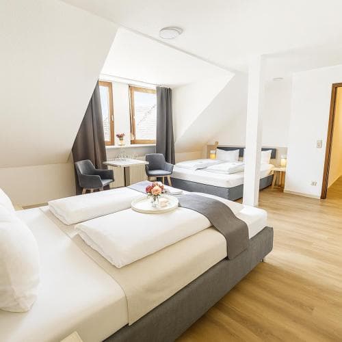 Hotel Daucher