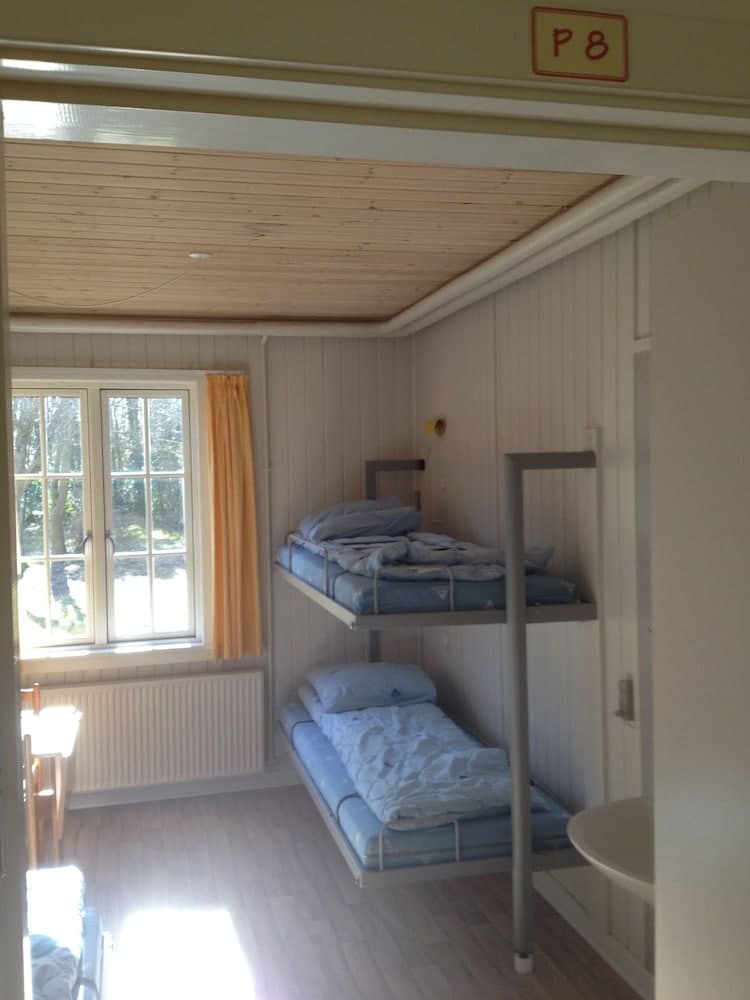 A cozy cabin room with bunk beds, wooden paneling, and a window offering a serene forest view, ideal for budget-friendly travelers seeking simplicity and comfort.
