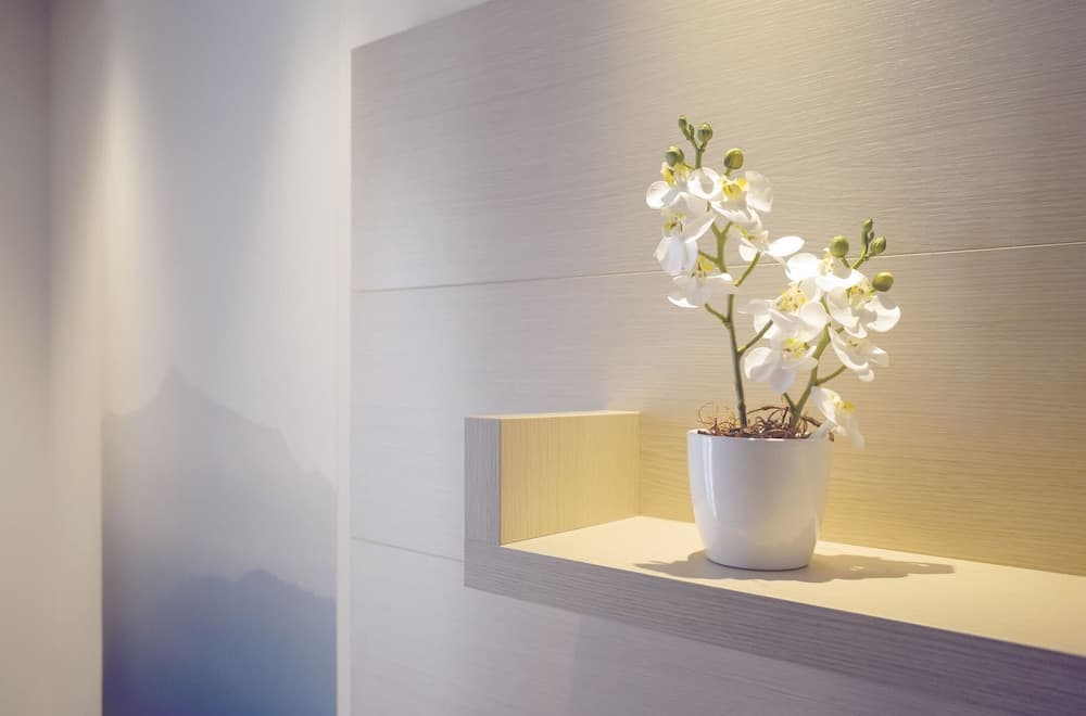 A serene minimalist interior features a white orchid in a sleek vase on a floating wooden shelf, casting soft shadows against a textured wall, ideal for travelers seeking tranquil accommodation inspiration.