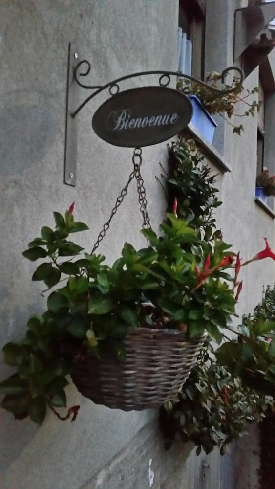 B&B Jasmyn