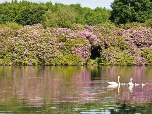 Killyliss Country House B&B
