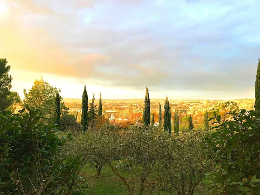 The Provence Experience