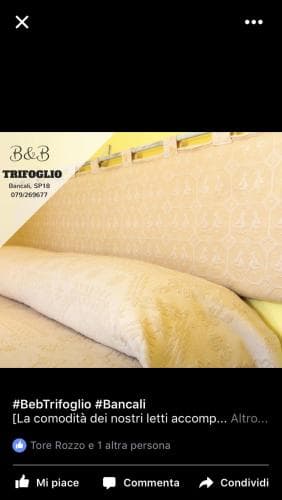 B&B Trifoglio