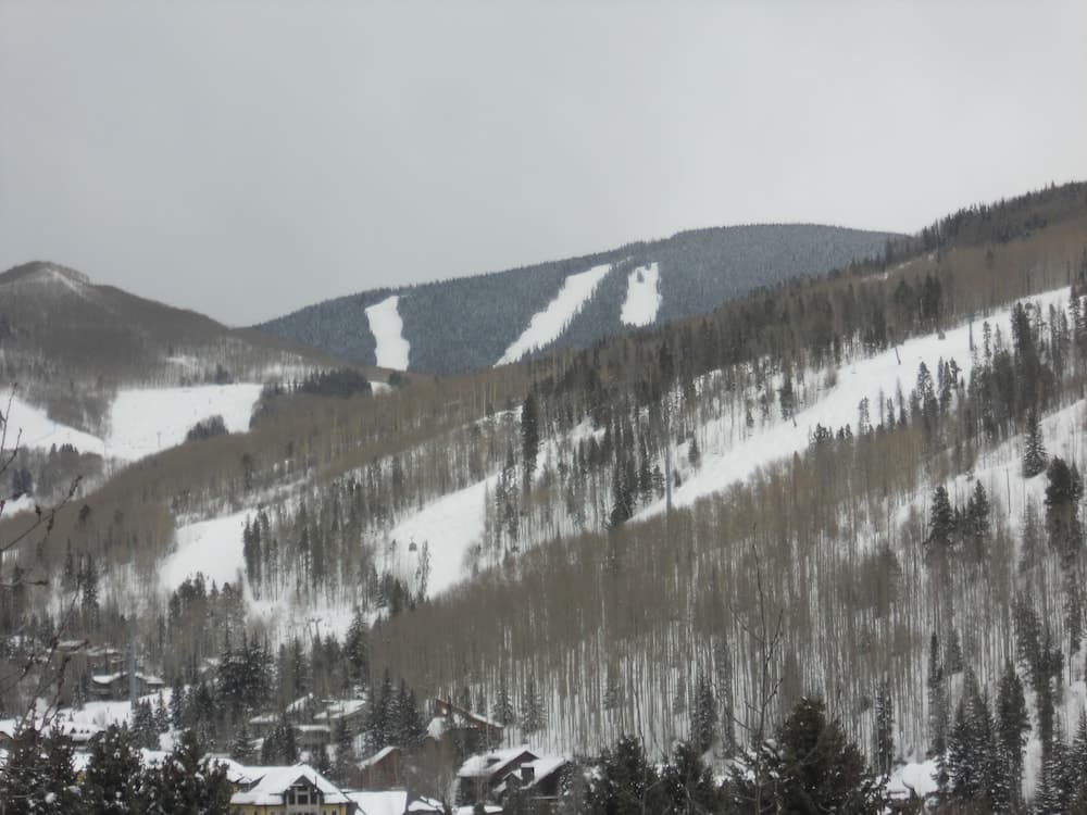 Homestake Condominiums