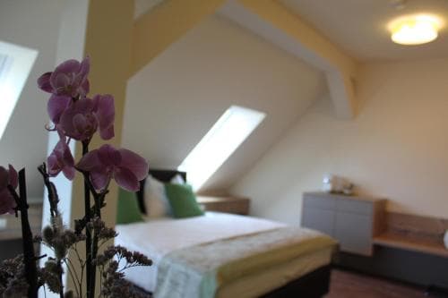 Hotel Braun