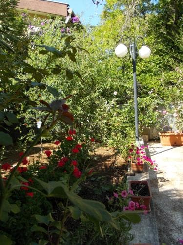 B&B Il Bambu