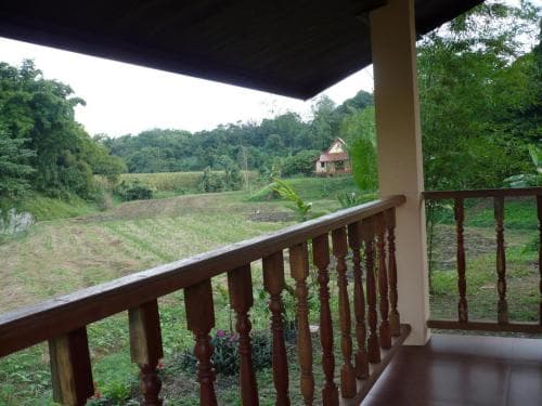 Suancha Tea Garden