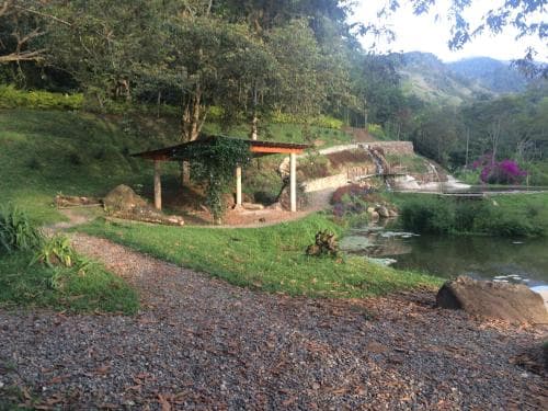 Charco corazón